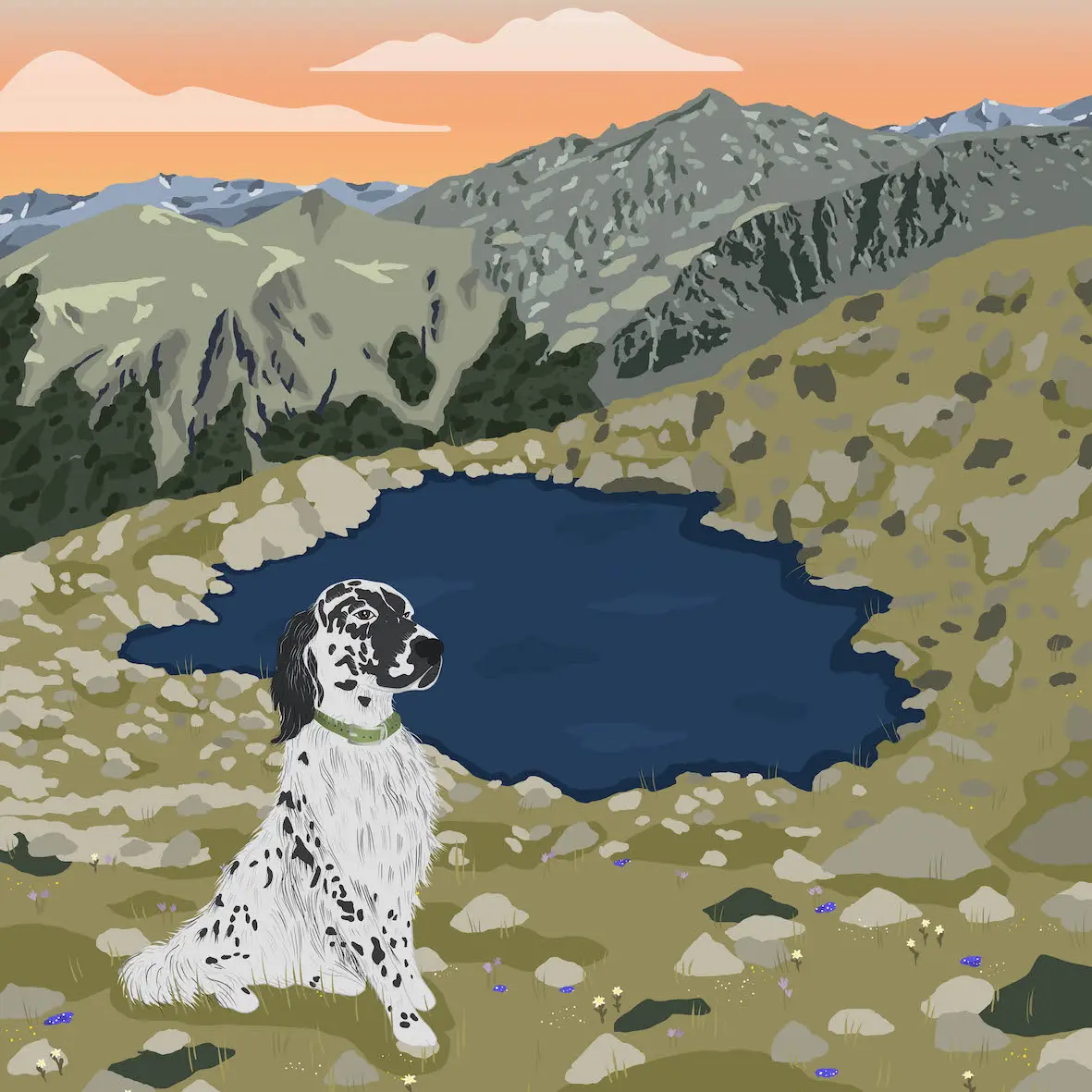 Création personnalisées, Étang d'Alet